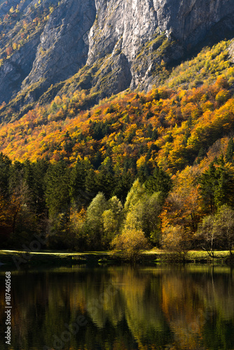Fototapeta Naklejka Na Ścianę i Meble -  Herbstwald Landschaft Alpen 