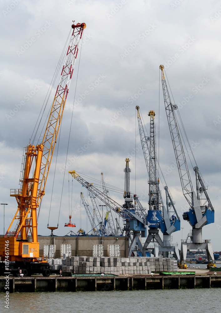 Cranes are working in the harbor of Rotterdam