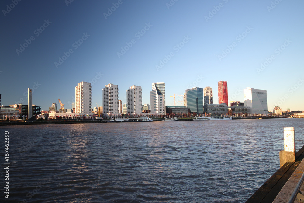 Fototapeta premium Rotterdam skyline in evening sun