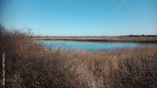 Strandseenlandschaft bei Schmoel