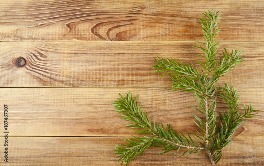 branch of a tree on a wooden background branch of a tree on a wooden background