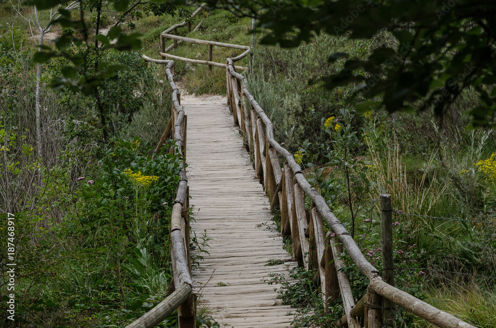 Pasaela de Covalagua