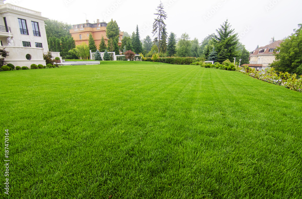 View on beautiful lawn View on beautiful lawn