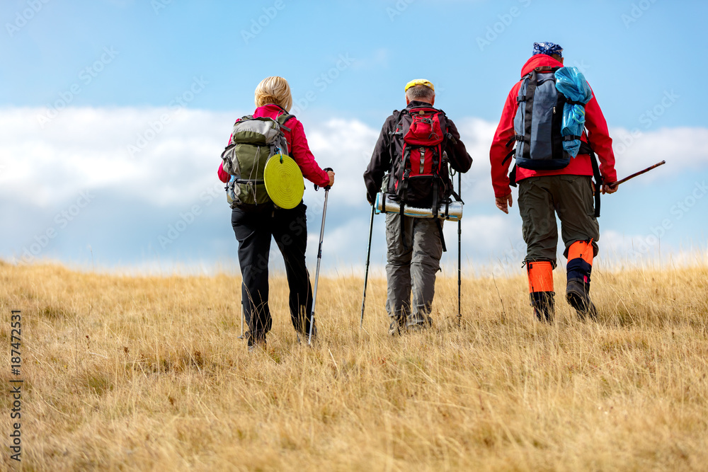 Rear view shot of young friends in countryside during summer holiday hiking. Group of hikers walking in the nature.