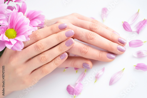 Hands of a woman with pink manicure on nails and pink flowers on a white background