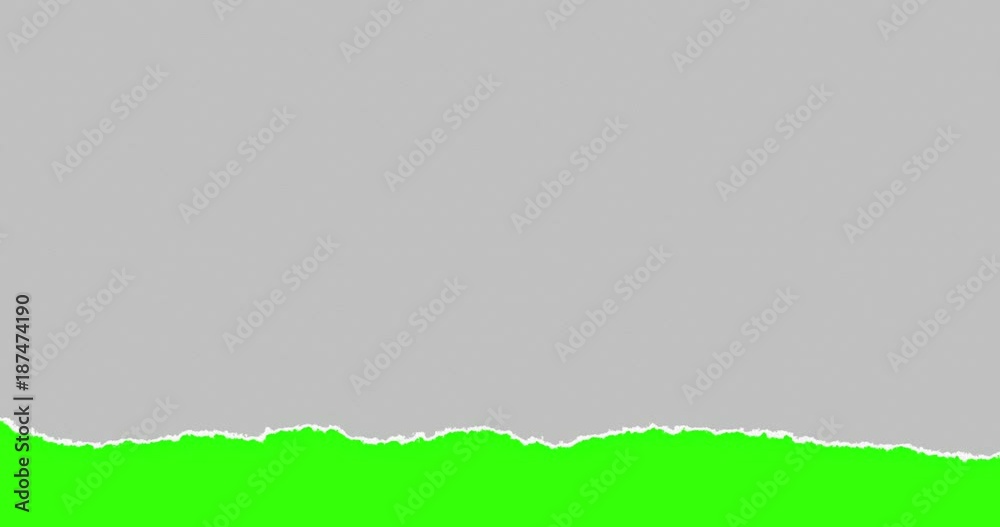 horizontal grey torn paper with multi torn effect on chroma key green screen