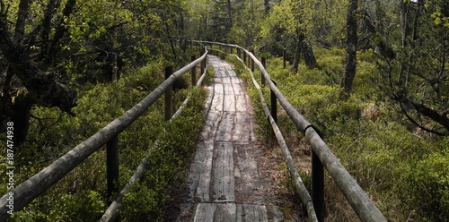 Hochmoor Kaltenbronn