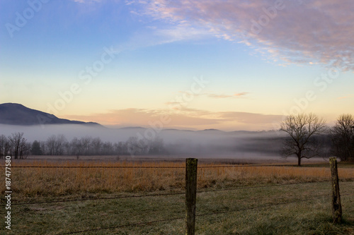 Foggy cades cove morning in great smoky mountains national park