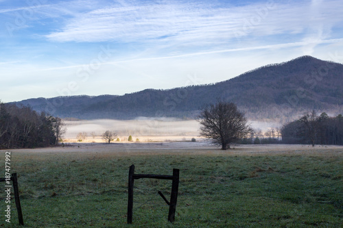 Foggy cades cove morning in great smoky mountains national park