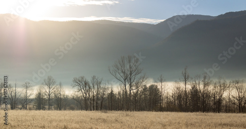 Foggy cades cove morning in great smoky mountains national park