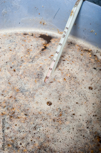 homebrew cattle and termometer