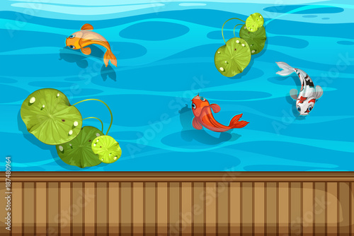 Three fish and waterlily in the pond