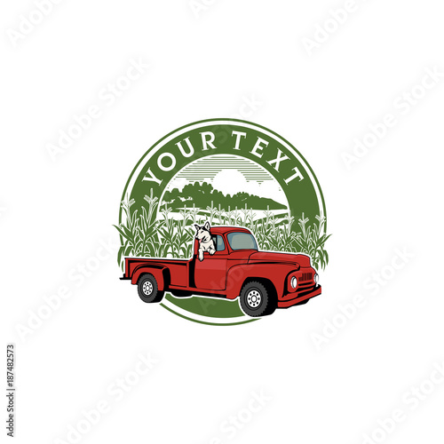  dog in a truck of old background cornfields illustration cartoon 