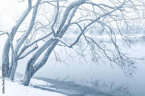 minimalistic winter landscape