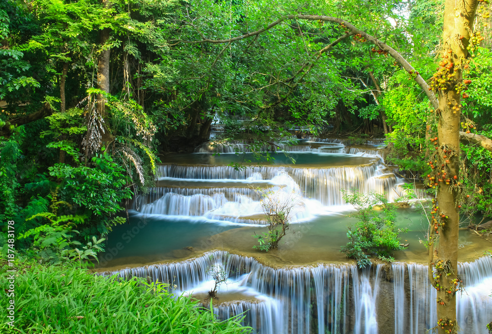 Waterfall Beautiful middle of evergreen Waterfall Beautiful middle of evergreen