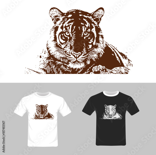 Fototapeta Naklejka Na Ścianę i Meble -  T-shirt graphic design. Tiger vector illustration. 