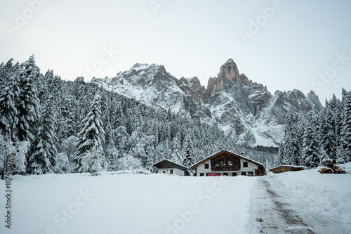 Cant del Gal - Val Canali, nel parco naturale di Paneveggio. sullo sfondo il Sass Maor (gruppo delle Pale di San Martino) photo