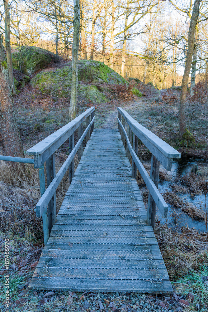 Netted wooden walk bridge over a small stream on a forest hiking trail. On a cold morning like this the net works as a safeguard against slipping on the slippery planks.