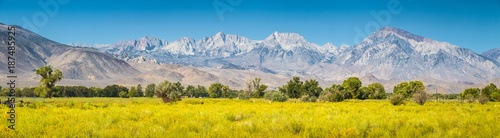 Eastern Sierra Nevada mountain range in summer  Bishop  California  USA