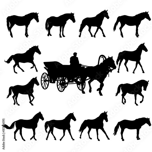 Illustration of horse silhouettes isolated on white background
