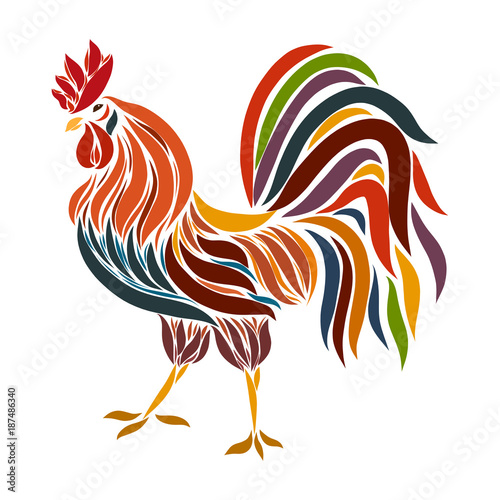 Beautiful colored cock with a lush tail