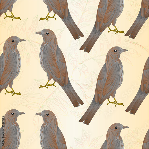 Seamless texture contour twig rowanberry with leaves and berries autumn  vintage    vector editable illustration hand draw