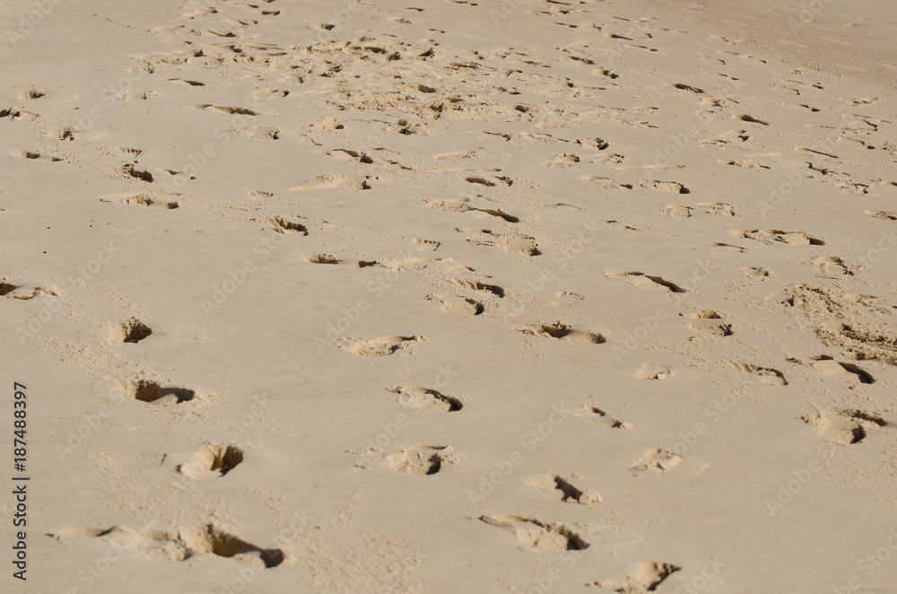 Lots of footprints in the sand