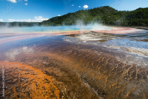 Hot springs in Yellowstone National Park USA