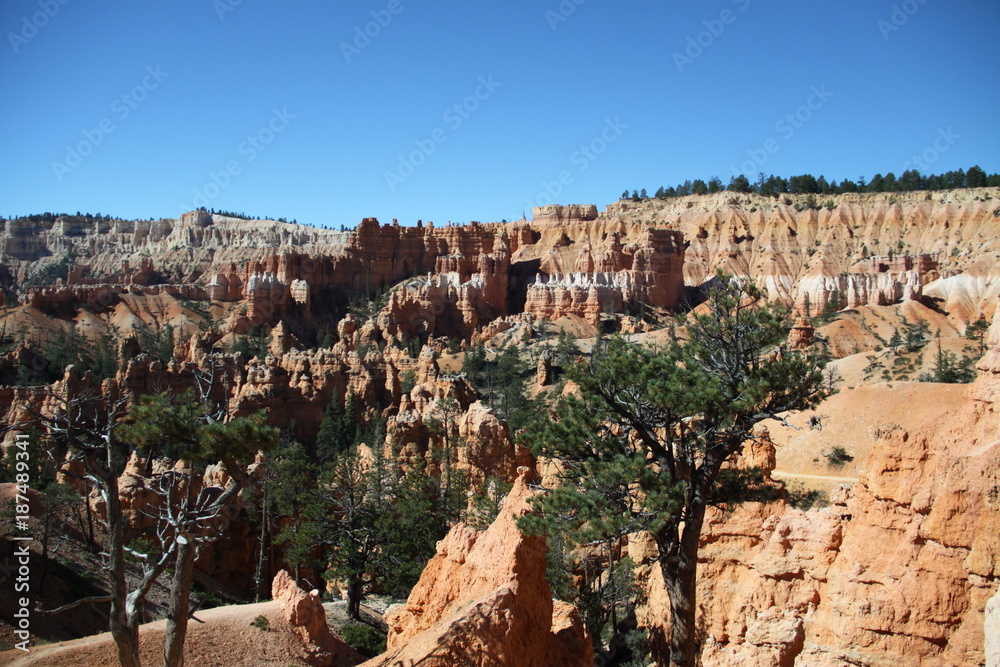 Beautiful Landscape of Bryce Canyon - Utah - USA Beautiful Landscape of Bryce Canyon - Utah - USA