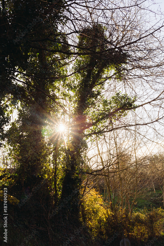 Obraz premium Typical Basque landscape between mountains