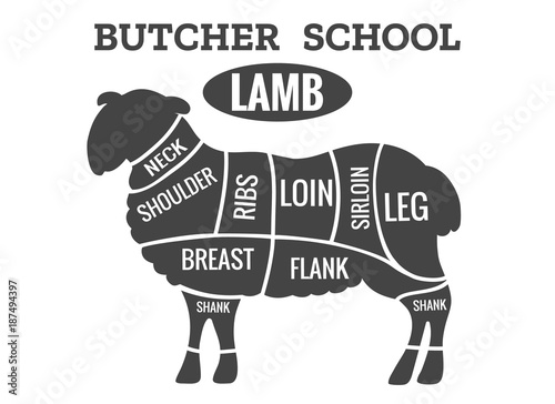 Lamb cutting. Sheep meat cut guide for butcher shop vector illustration