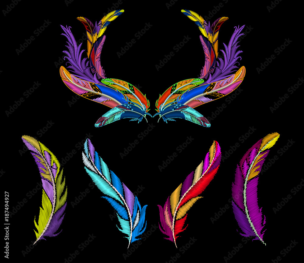 Fotografie Feathers embroidery set with colorful frame