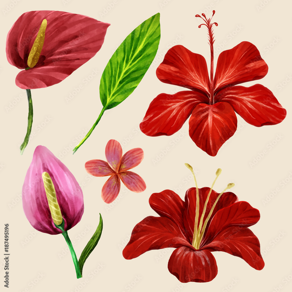 Fototapeta premium Watercolor Tropical Leaves and flower Collection on isolate vector. Beautiful Set.