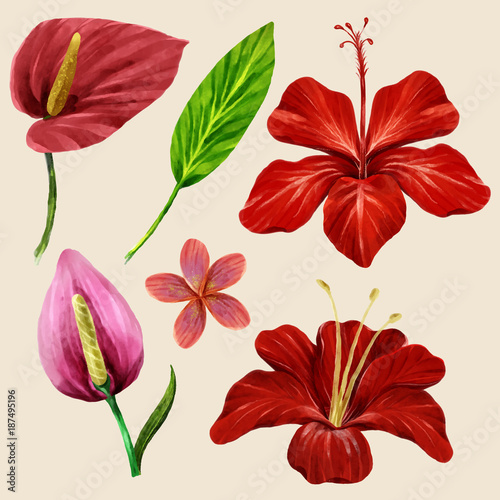 Watercolor Tropical Leaves and flower Collection on isolate vector. Beautiful Set.