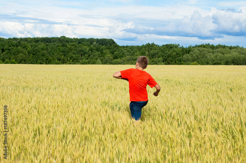 The boy in a bright T-shirt runs along the yellow field where ears of grain grow, the grain against the blue sky, the rear view.