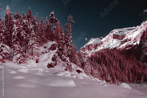 Montagne et forêt dans les Alpes bernoises en infrarouge photo