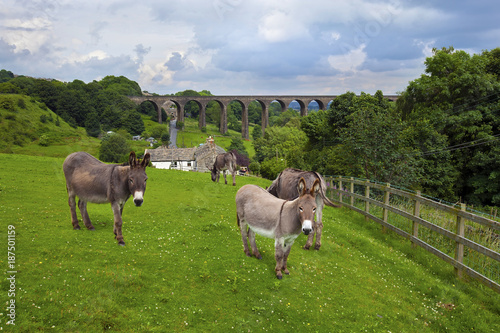 Thornton Farm and Viaduct
