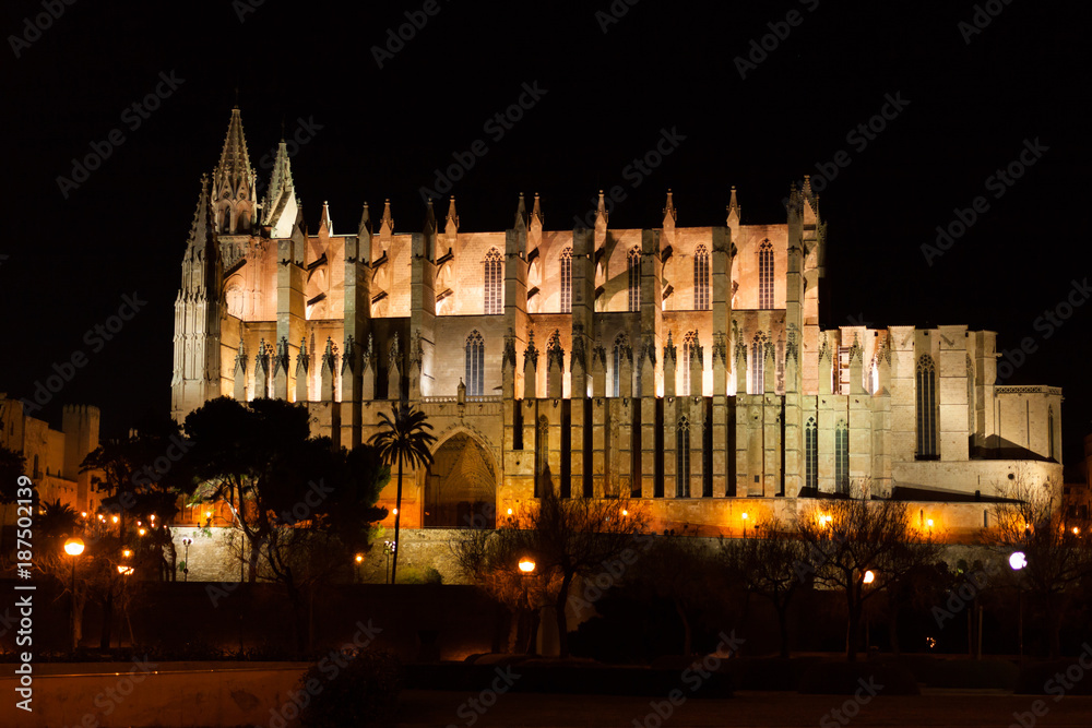 Night view of Palma de Mallorca Cathedral, La Seu, from the port. Palma, Majorca, Spain