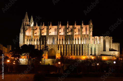 Night view of Palma de Mallorca Cathedral, La Seu, from the port. Palma, Majorca, Spain
