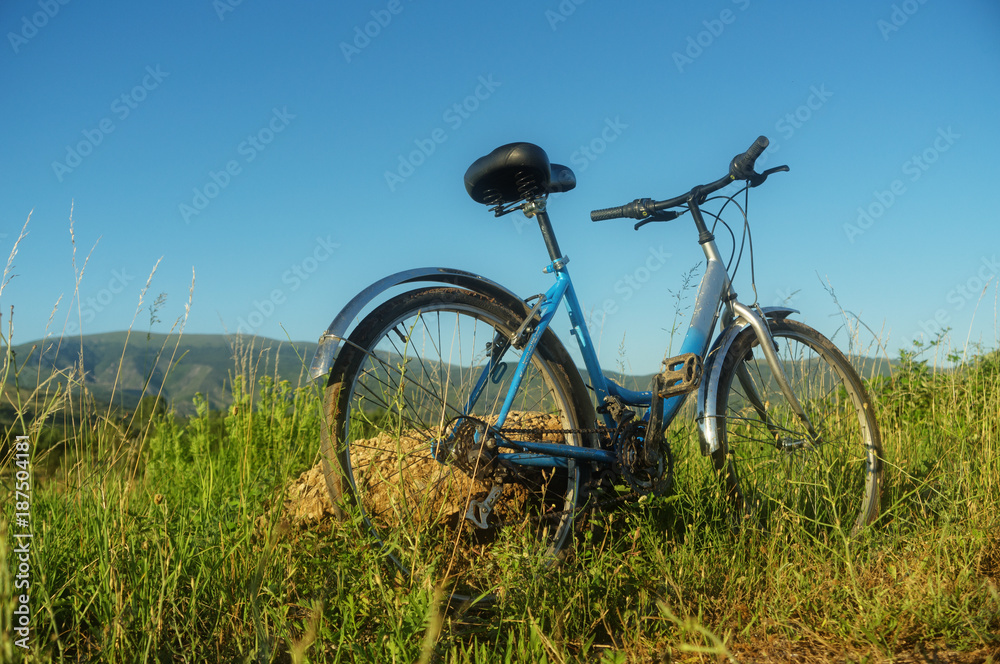 Bicycle Bicycle