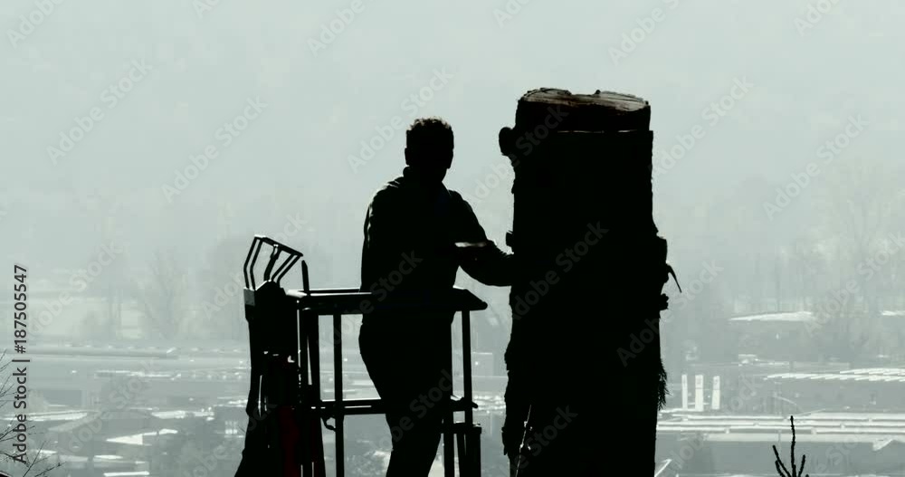 Silhouette of a lumberjack felling a big tree