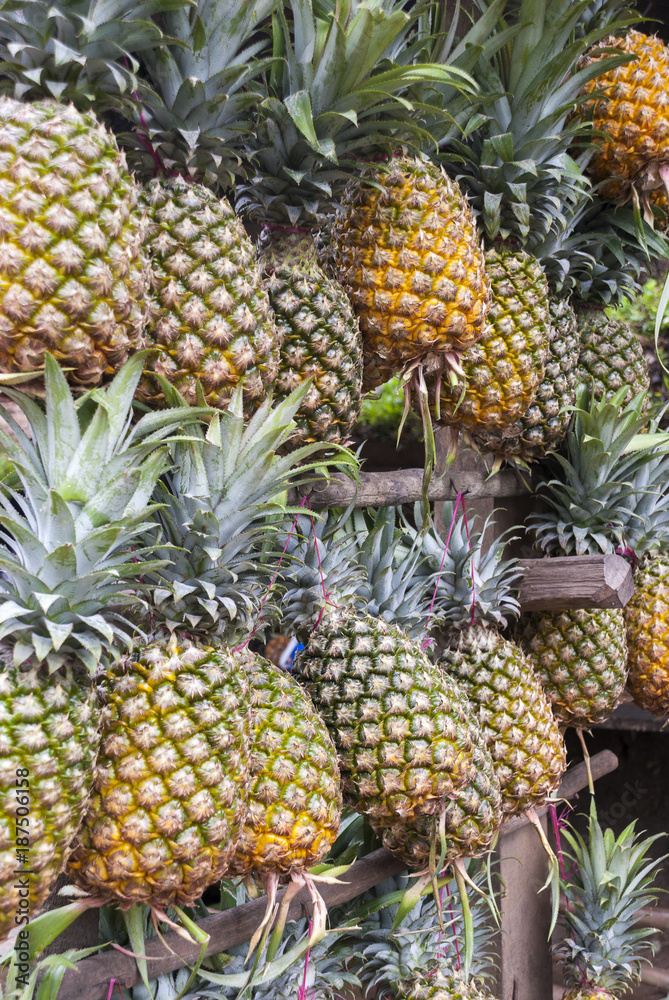Fresh pineapple for sale in Izabal, Guatemala, Ananas comosus.