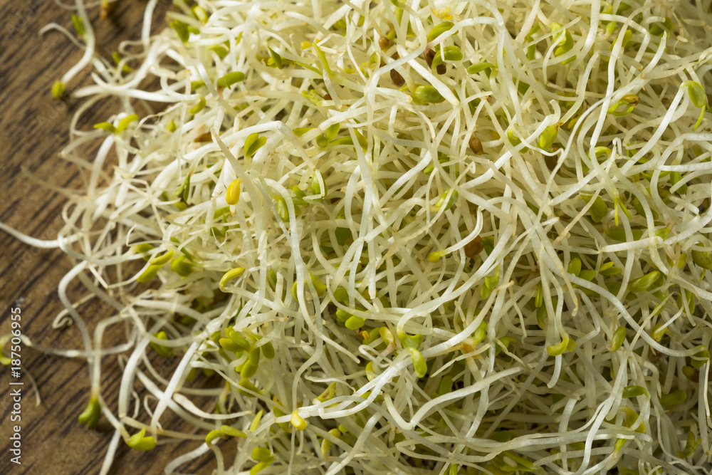Raw Green Organic Alfalfa Sprouts Raw Green Organic Alfalfa Sprouts
