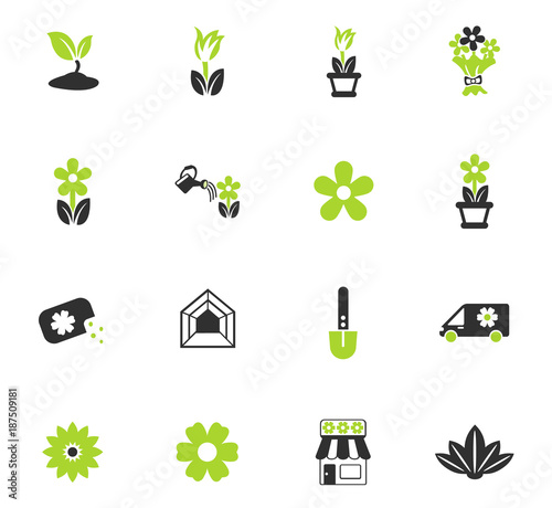 flowers icon set