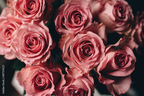 Bouquet of pink roses