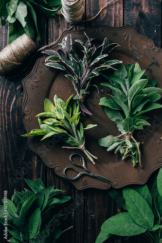 Fresh sage leaves