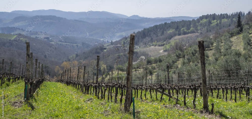 Fototapeta premium tuscany landscape Italy