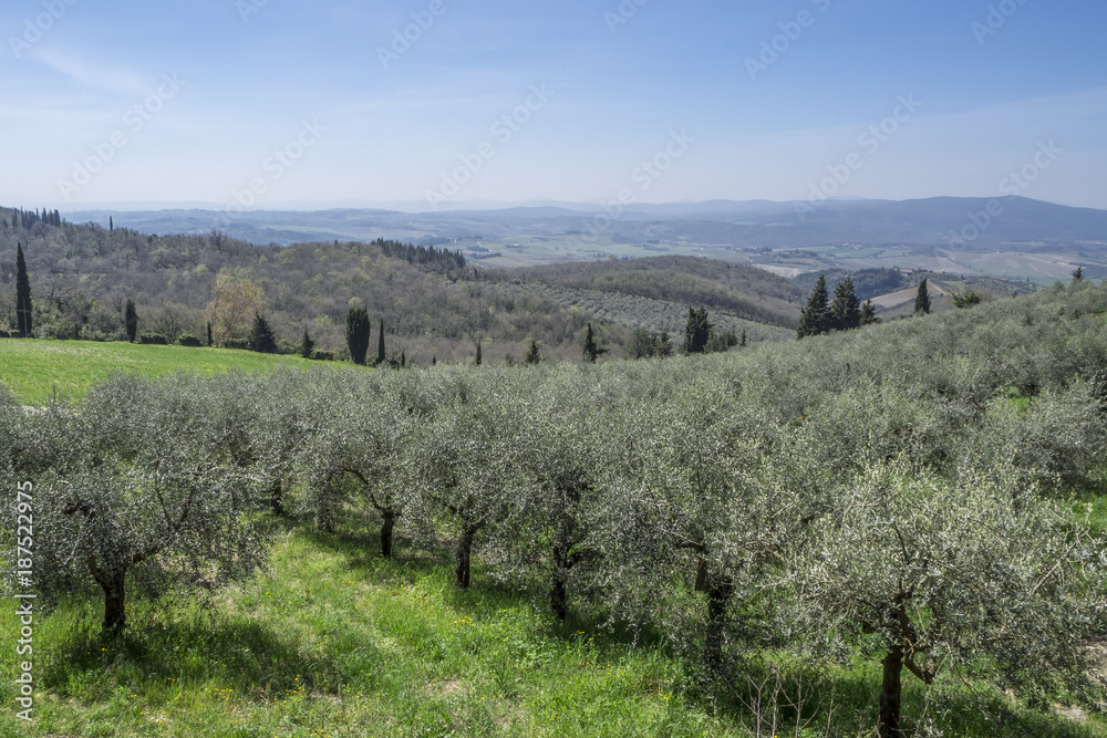 tuscany landscape Italy