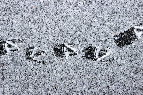 Footprints of ducks on the surface of the lake, covered with a thin layer of ice and snow. photo