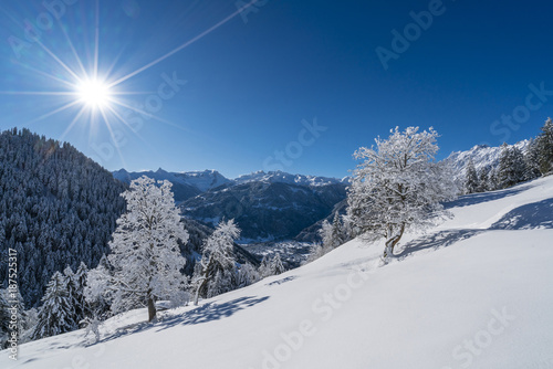 Verschneite Winterlandschaft in den Alpen © Netzer Johannes